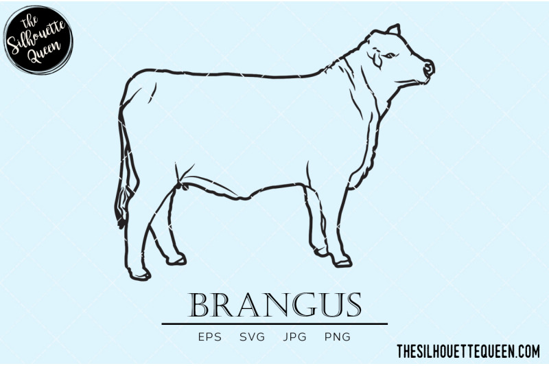 brangus-vector