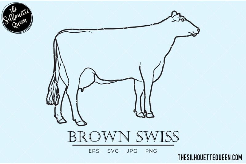 brown-swiss-vector