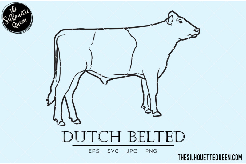dutch-belted-vector