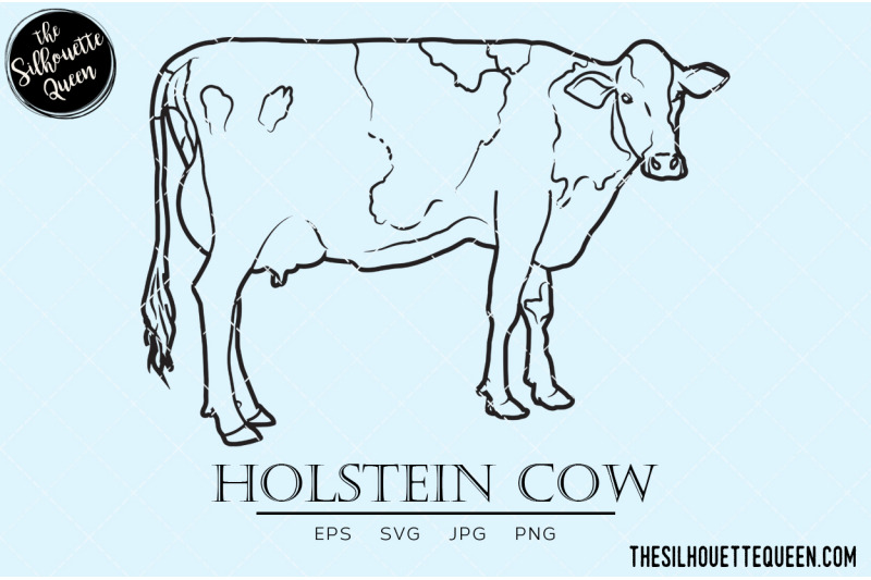 holstein-cow-vector