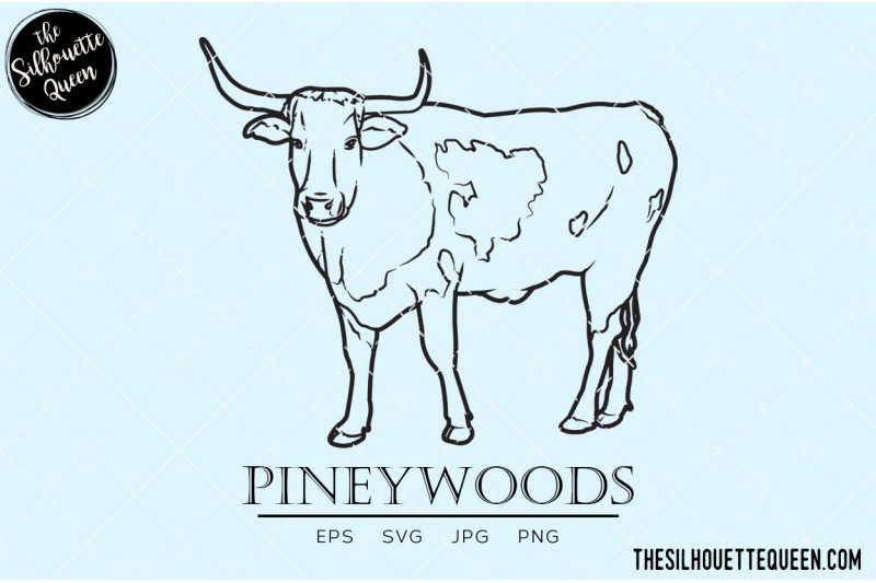 pineywoods-vector