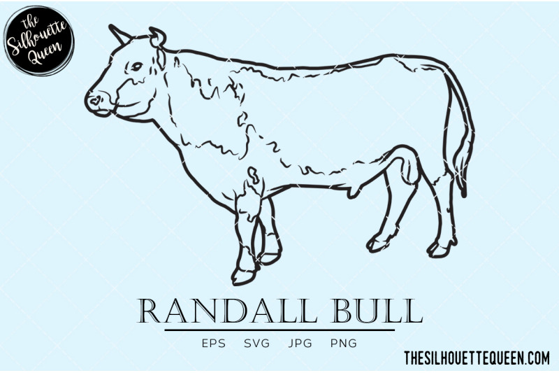 randall-bull-vector