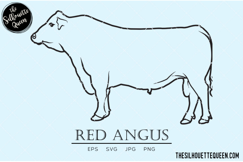 red-angus-vector
