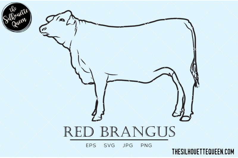 red-brangus-vector