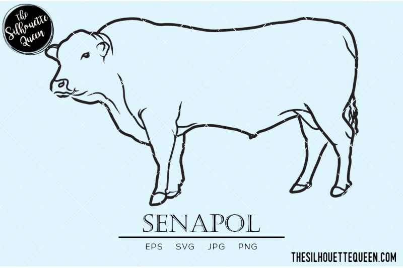 senapol-vector