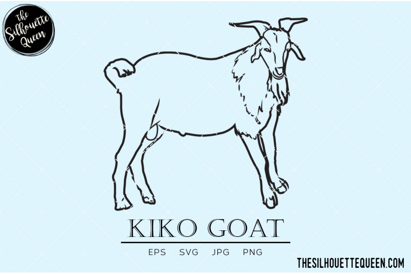 kiko-goat-vector