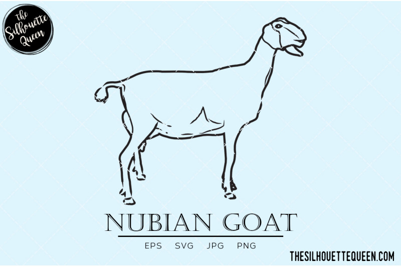 nubian-goat-vector