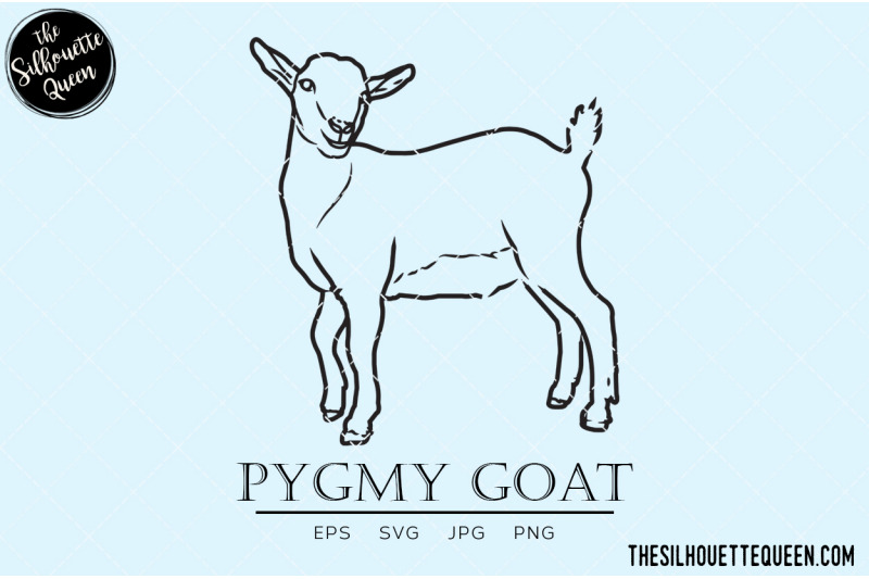 pygmy-goat-vector