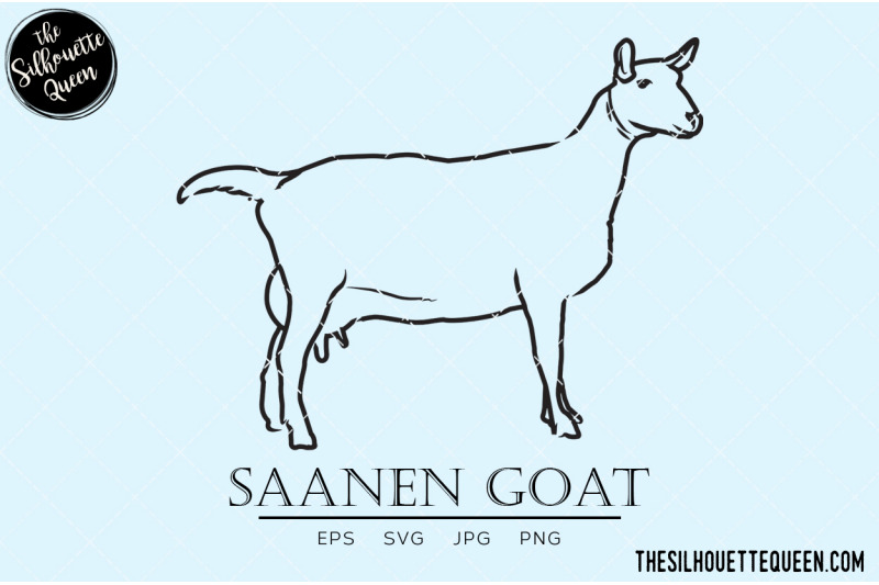 saanen-goat-vector