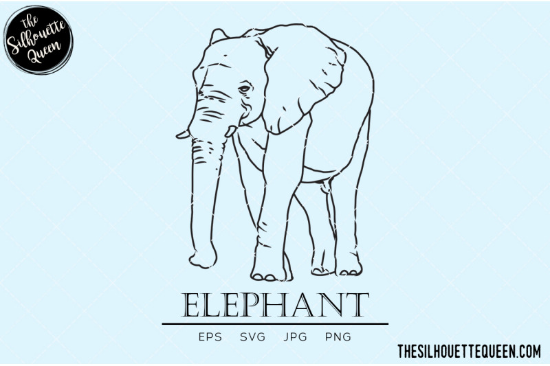 elephant-vector