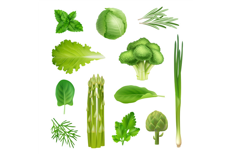 green-vegetables-mint-onion-salad-leaf-parsley-cabbage-and-broccoli-d