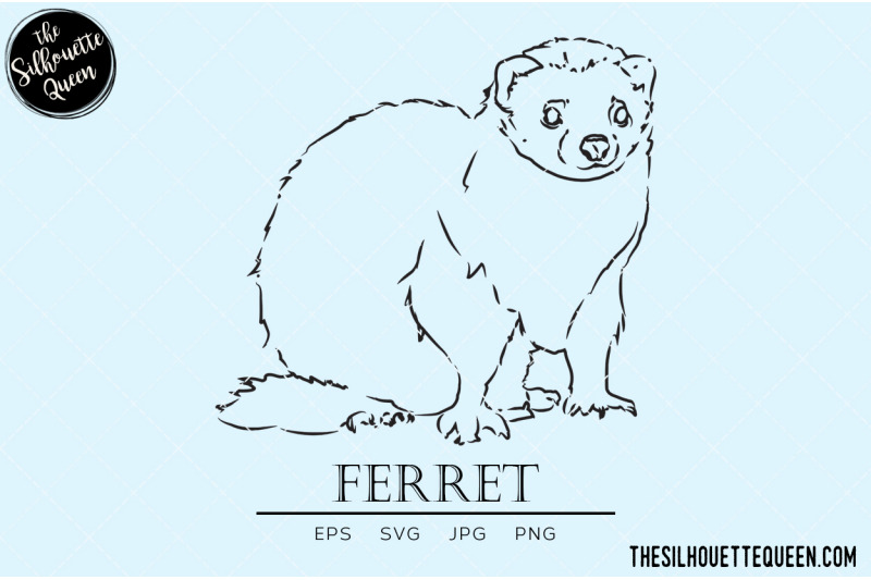 ferret-vector