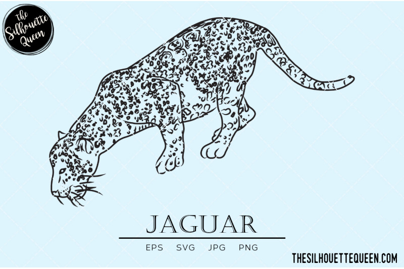 jaguar-vector