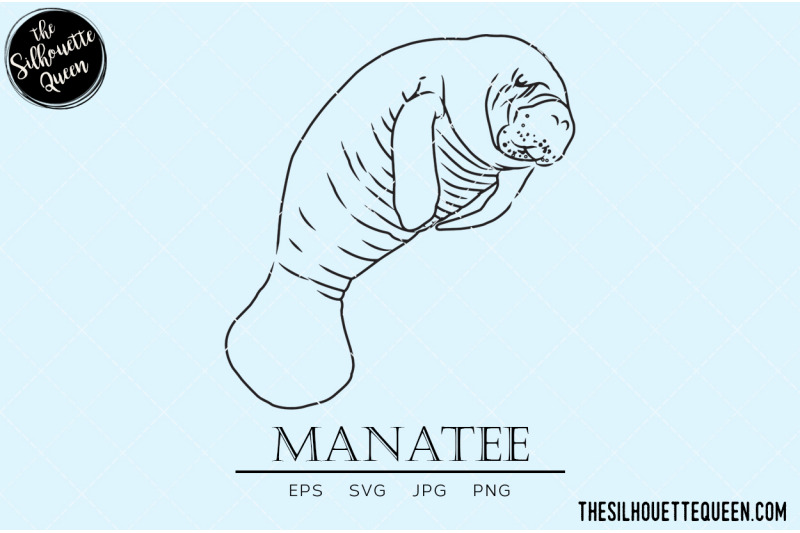 manatee-vector