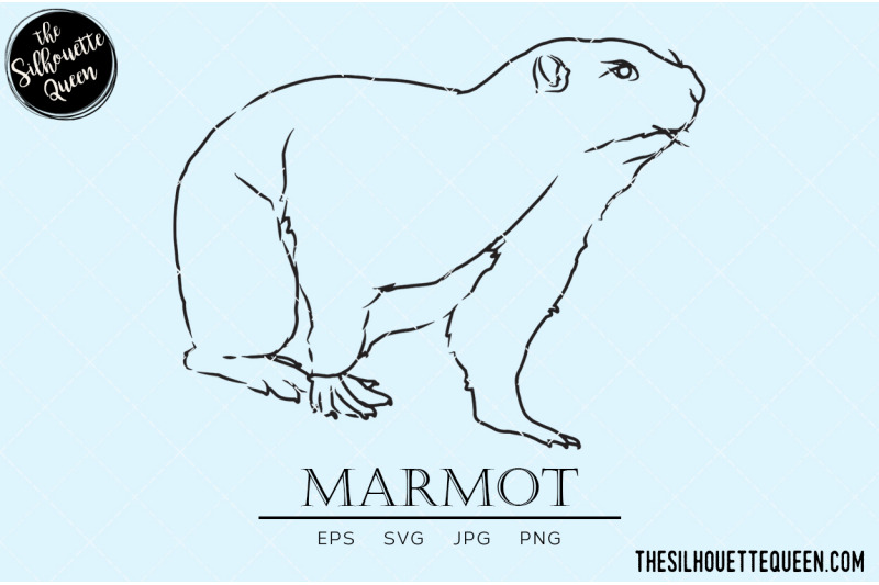 marmot-vector