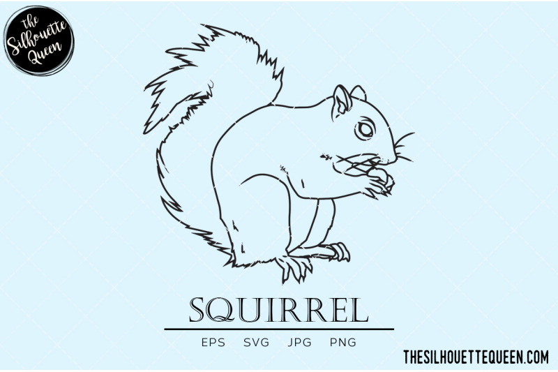 squirrel-vector