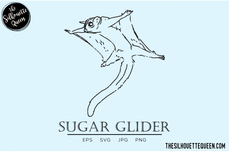 sugar-glider-vector