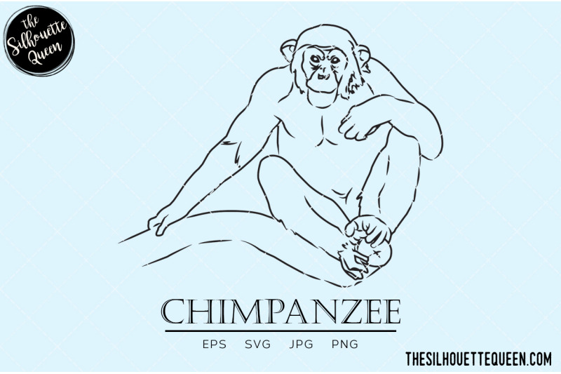 chimpanzee-vector