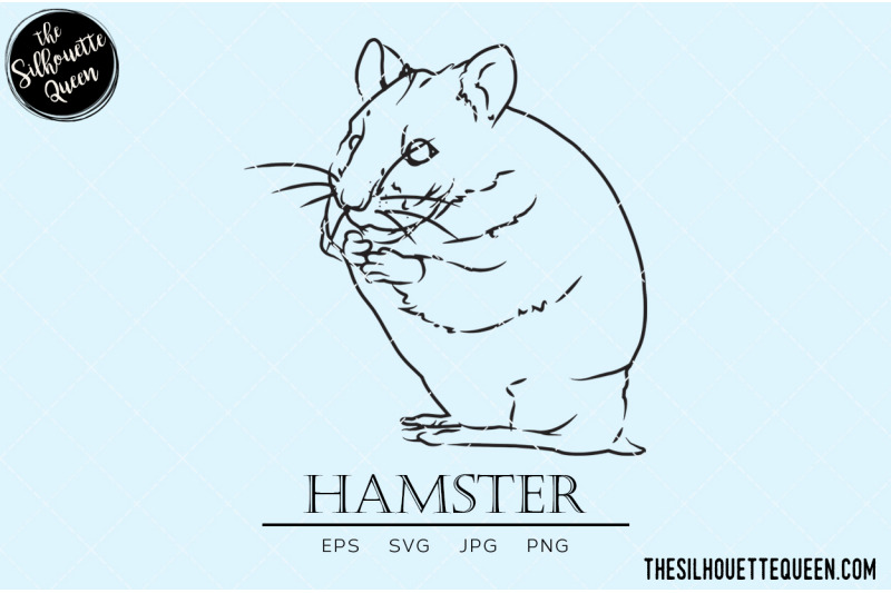 hamster-vector