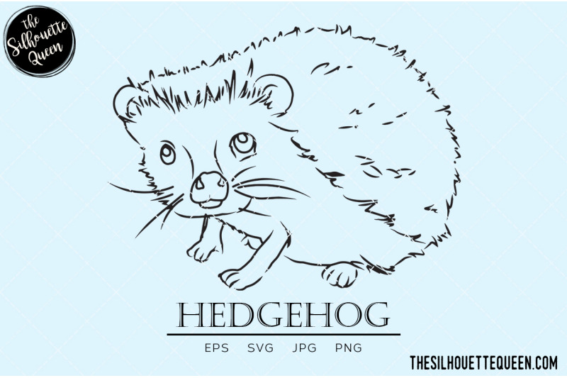 hedgehog-vector