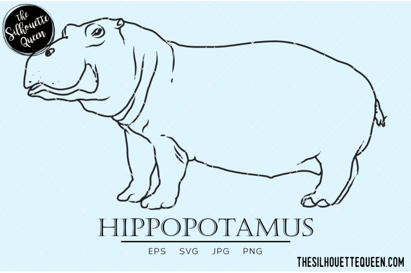 hippopotamus-vector