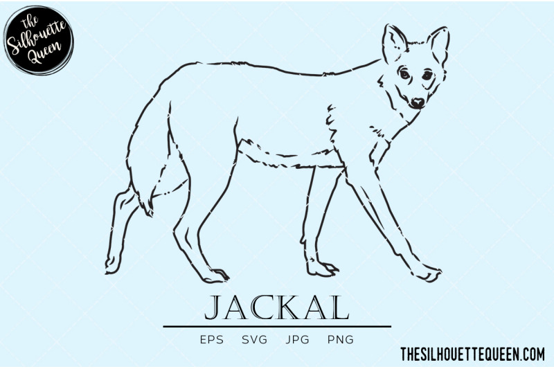 jackal-vector