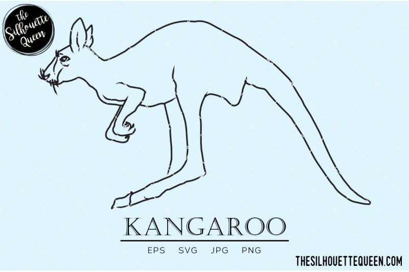 kangaroo-vector