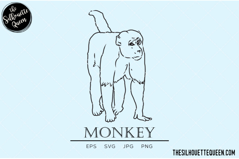 monkey-vector