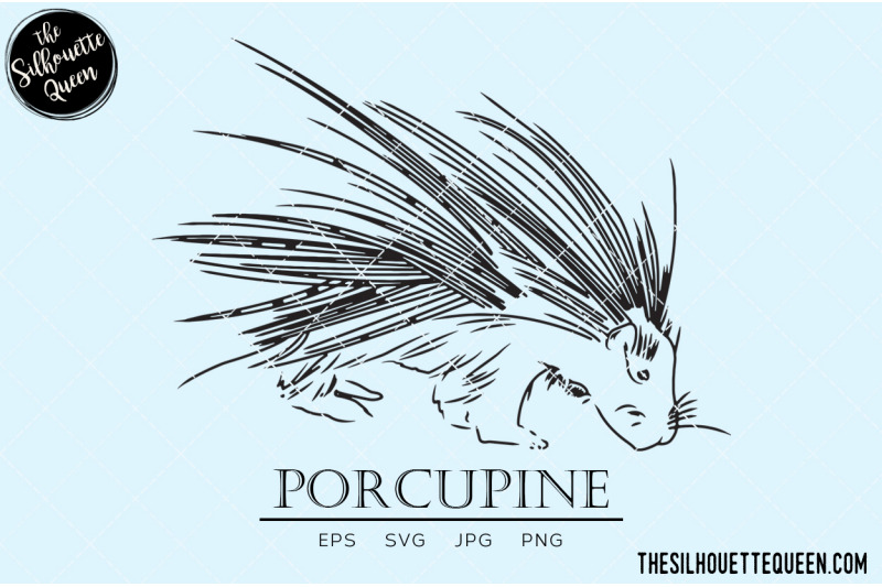 porcupine-vector