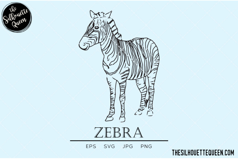 zebra-vector