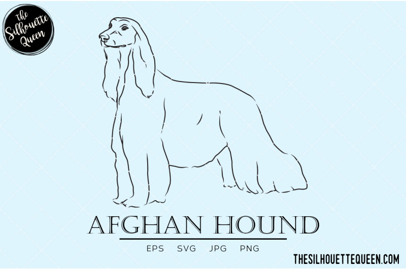 afghan-hound-sketch