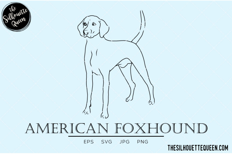 american-foxhound-sketch