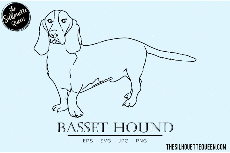 basset-hound-sketch