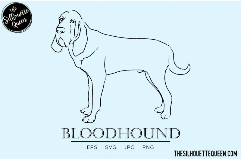 bloodhound-sketch