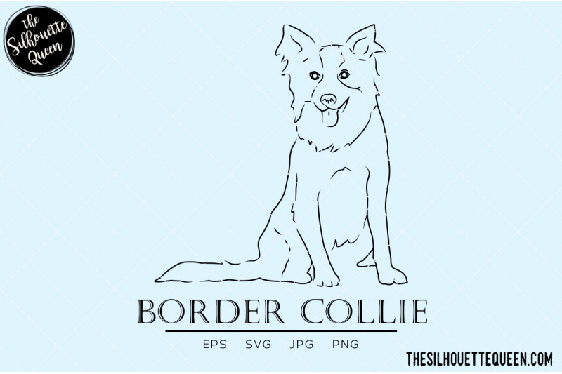 border-collie-sketch