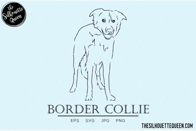 border-collie-sketch