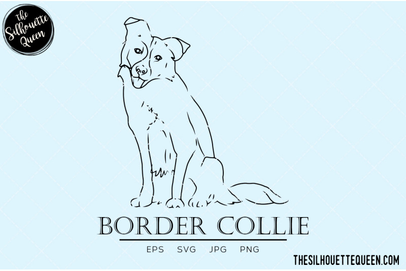 border-collie-sketch