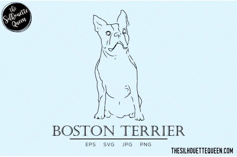 boston-terrier-sketch