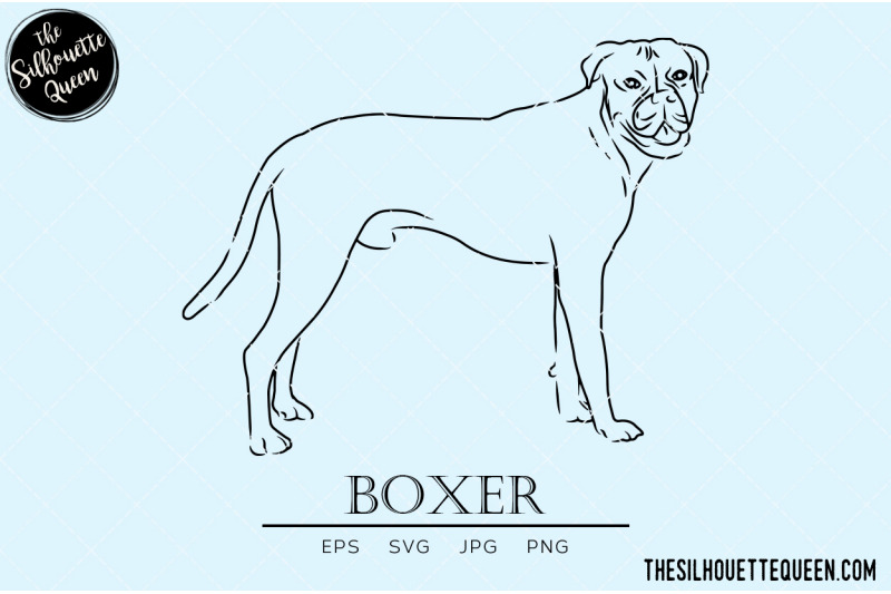 boxer-sketch