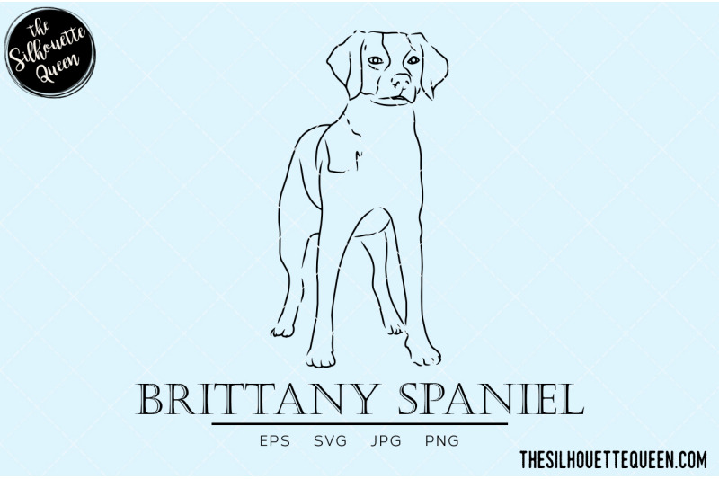 brittany-spaniel-sketch