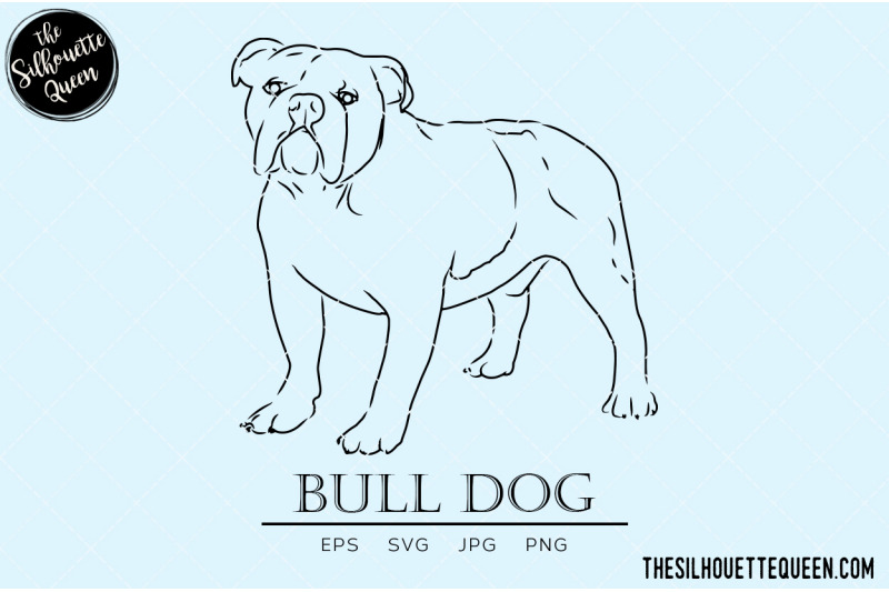 bull-dog-sketch