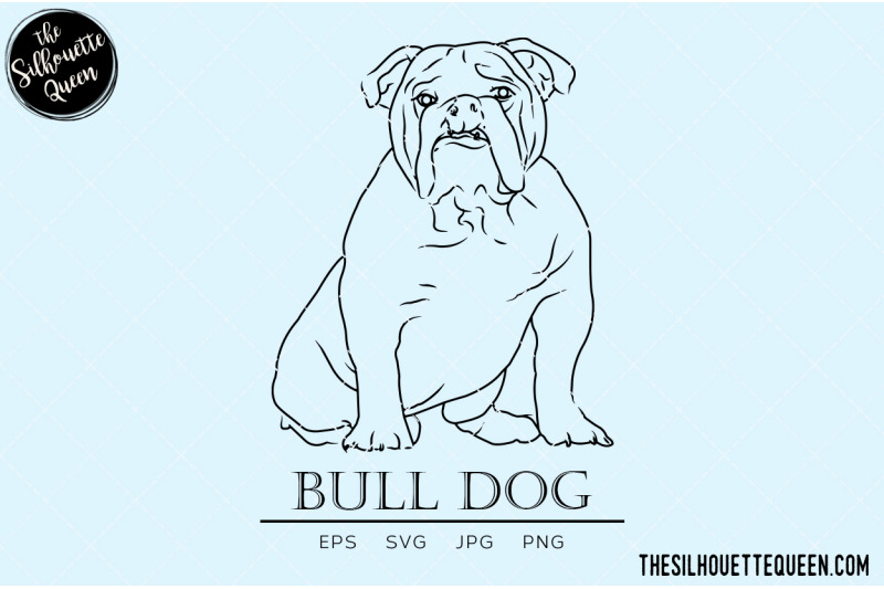 bull-dog-sketch