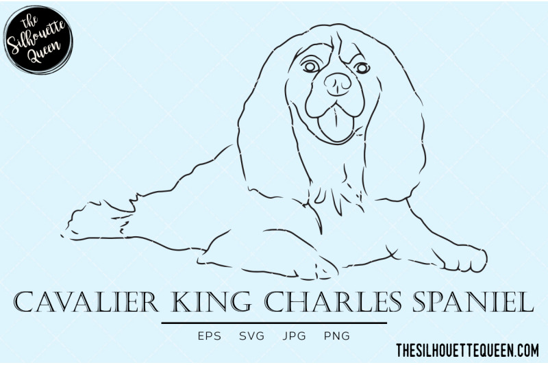 cavalier-king-charles-spaniel-sketch