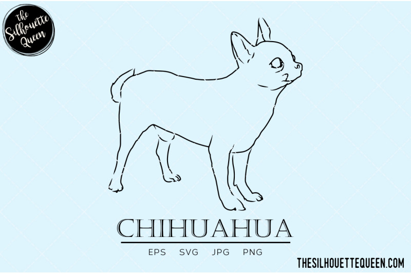 chihuahua-sketch