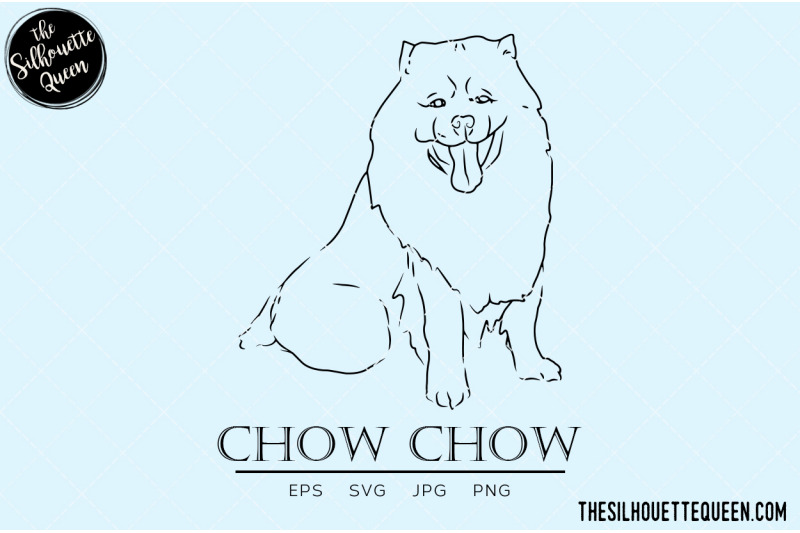 chow-chow-sketch