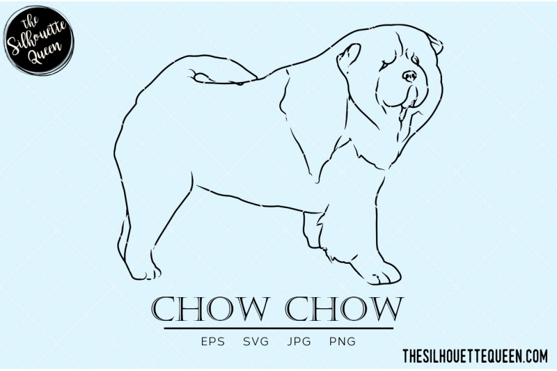 chow-chow-sketch