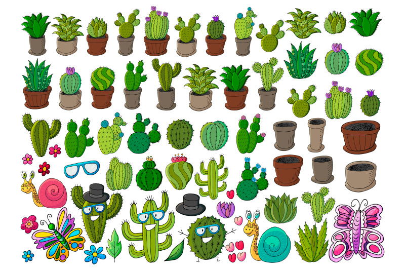 cacti-collection