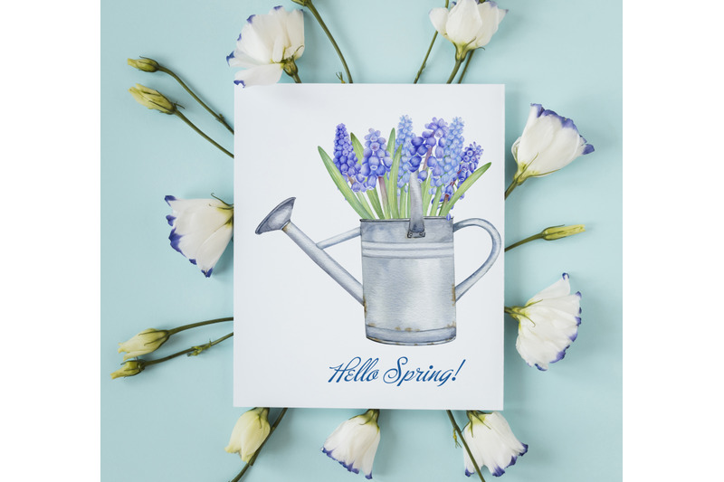 watercolor-grape-hyacinth-clipart-set-hand-painted-spring-flowers-png