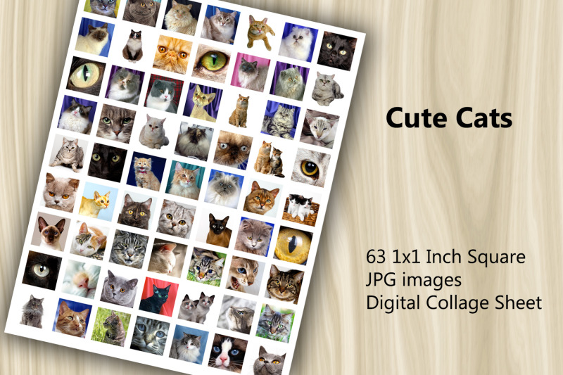 digital-collage-sheet-cute-cats