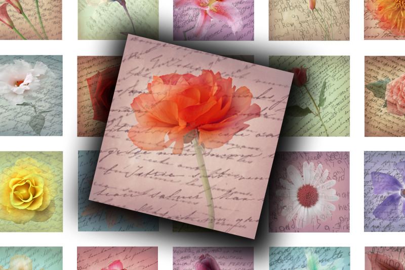 digital-collage-sheet-flowers-and-manuscripts